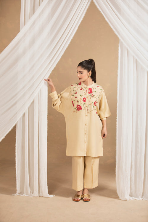 Beige Embroided suit-TA04-2Pc